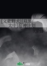 [文豪野犬][双黑/太中]超神计划