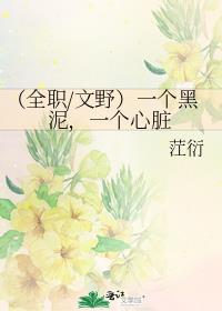 （全职/文野）一个黑泥，一个心脏