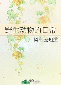 野生动物的日常