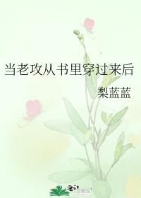 当老攻从书里穿过来后