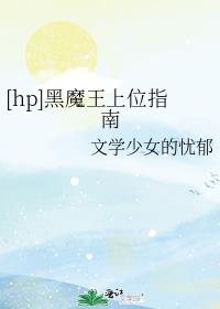 [hp]黑魔王上位指南