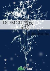 [DC/MCU]雪夜童话