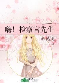 嗨！检察官先生