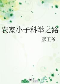 农家小子科举之路