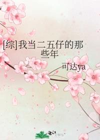 [综]我当二五仔的那些年