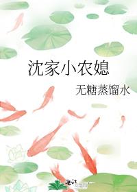 沈家小农媳