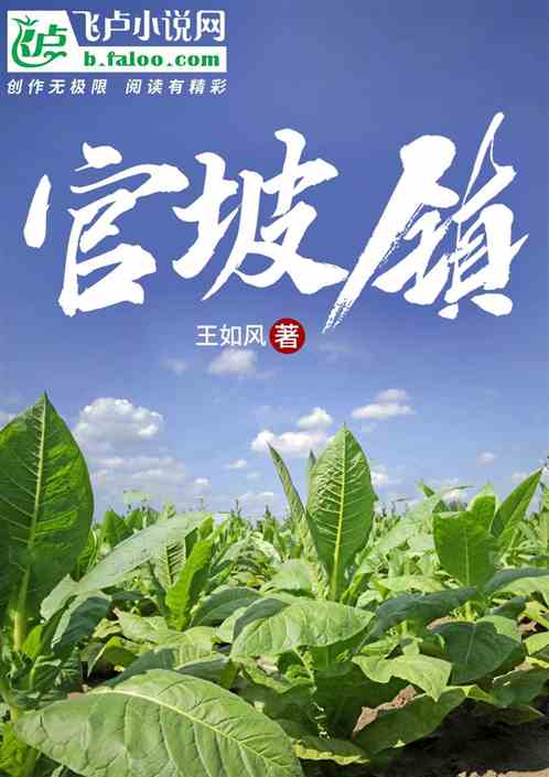 官坡镇