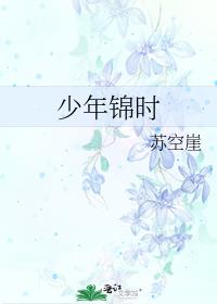 少年锦时