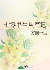 七零书生从军记