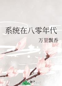 系统在八零年代