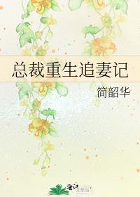 总裁重生追妻记