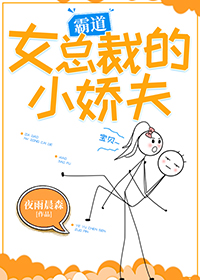 霸道女总裁的小娇夫[娱乐圈]