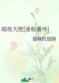 暗夜天使[迷航番外]