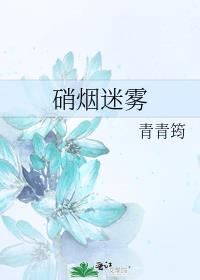 硝烟迷雾