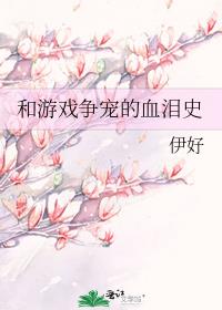 和游戏争宠的血泪史