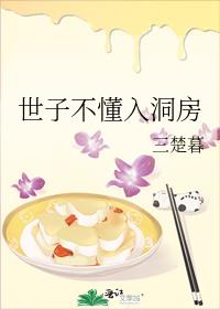 世子不懂入洞房