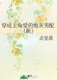 穿成主角受的炮灰男配（新）