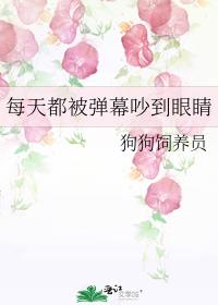 每天都被弹幕吵到眼睛