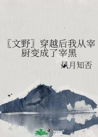 〖文野〗穿越后我从宰厨变成了宰黑