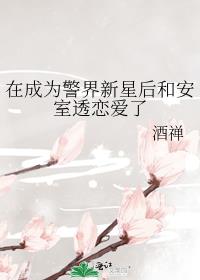 在成为警界新星后和安室透恋爱了