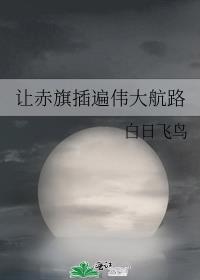 让赤旗插遍伟大航路