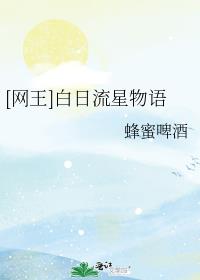 [网王]白日流星物语