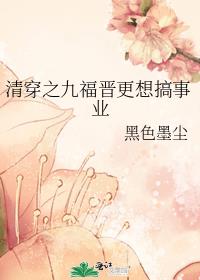 清穿之九福晋更想搞事业