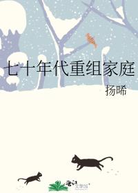 七十年代重组家庭