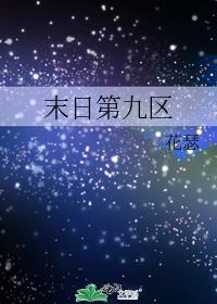 末日第九区
