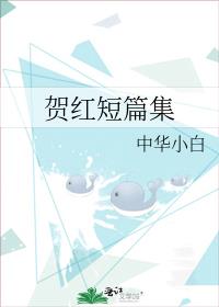 贺红短篇集