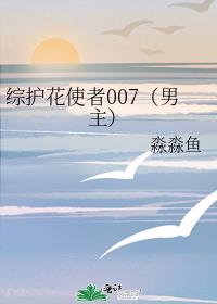 综护花使者007（男主）