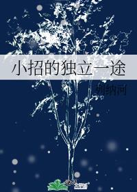 小招的独立一途