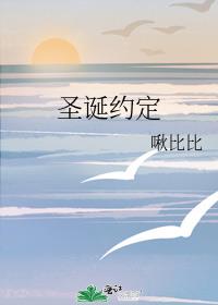 圣诞约定