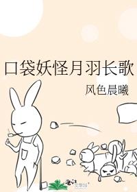 口袋妖怪月羽长歌
