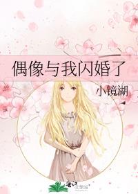 偶像与我闪婚了