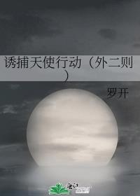 诱捕天使行动（外二则）