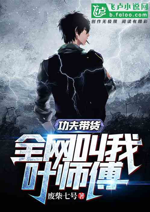 功夫带货，全网叫我叶师傅