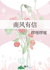 南风有信