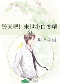 毁灭吧！末世小白变精分