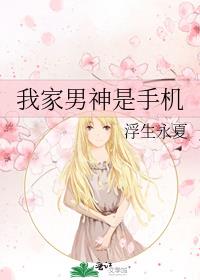 我家男神是手机