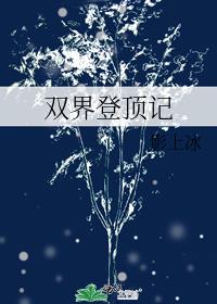 双界登顶记
