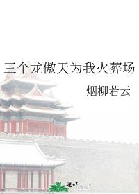 三个龙傲天为我火葬场