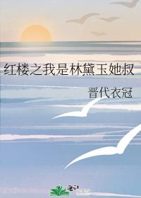 红楼之我是林黛玉她叔