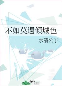 不如莫遇倾城色