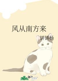 风从南方来