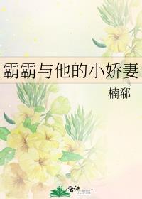 霸霸与他的小娇妻