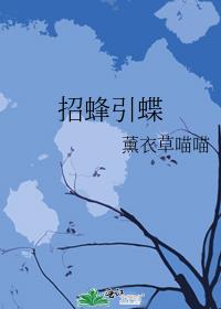 招蜂引蝶