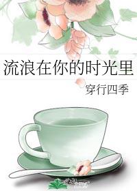 流浪在你的时光里