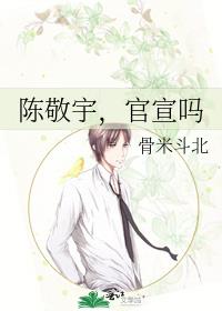 陈敬宇，官宣吗