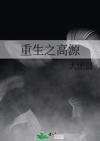 重生之高源